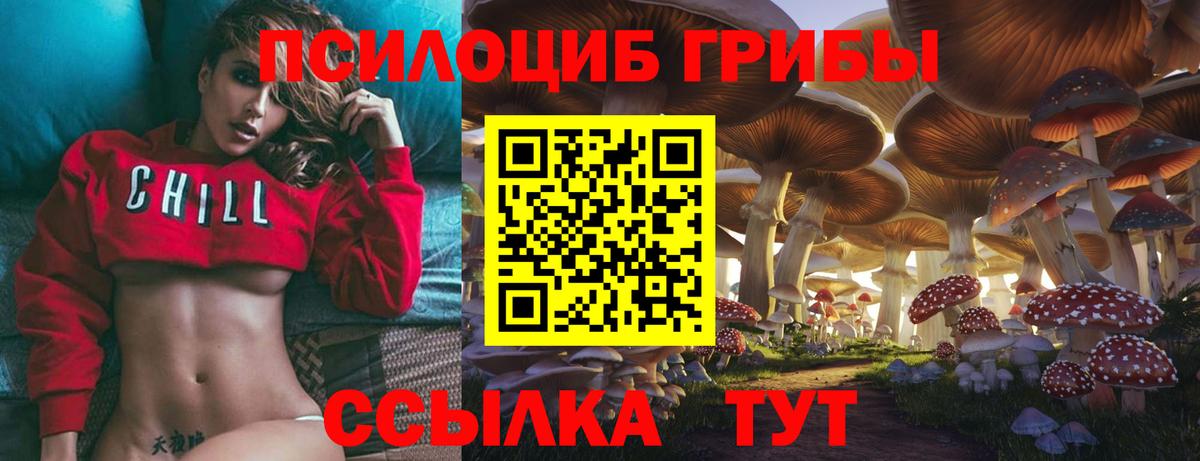 Дивногорск  Псилоцибиновые грибы Magic Shrooms  Вход с VPN  Галлюциногенные грибы мицелий 